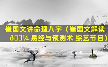 崔国文讲命理八字（崔国文解读 🌼 易经与预测术 综艺节目）